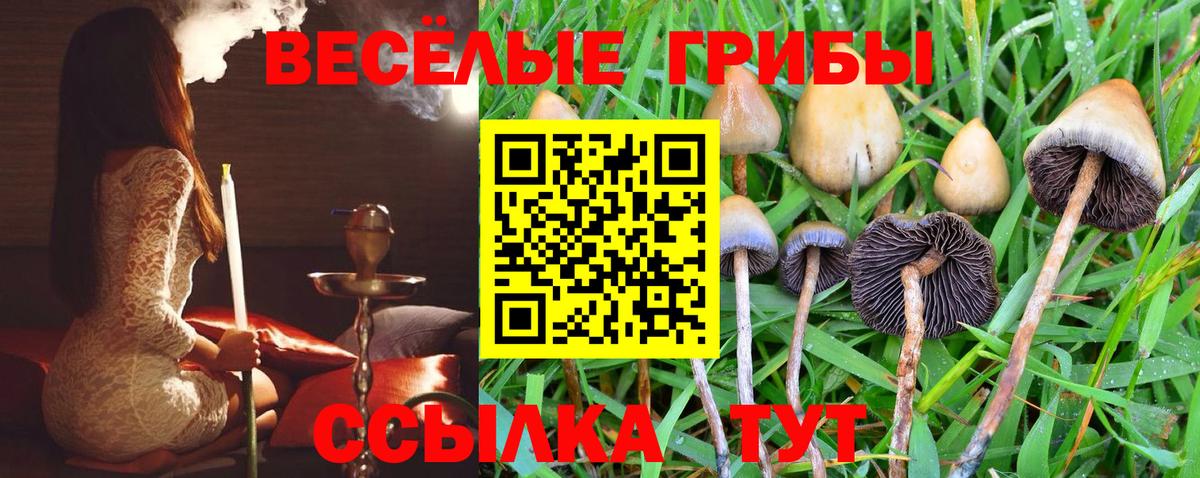Галлюциногенные грибы мухоморы  Галлюциногенные грибы Psilocybe  Кашира  Вход с VPN 