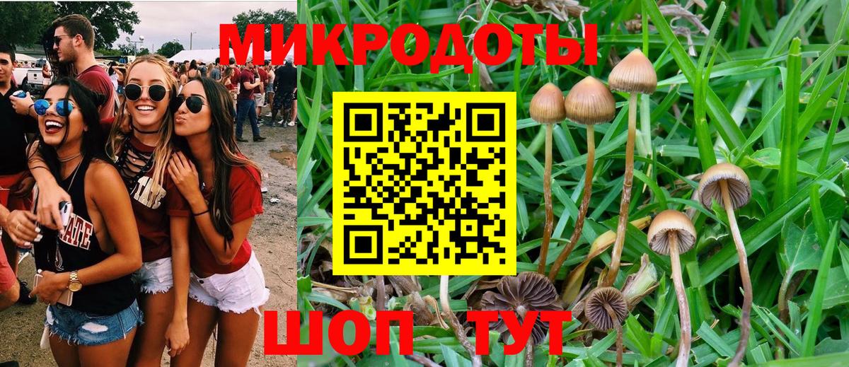 Псилоцибиновые грибы MAGIC MUSHROOMS Кашира